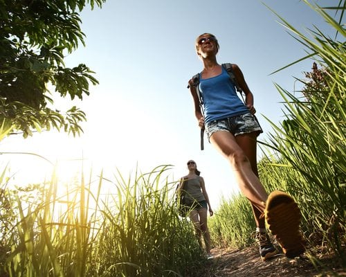 Profissões regulamentadas: Turismo