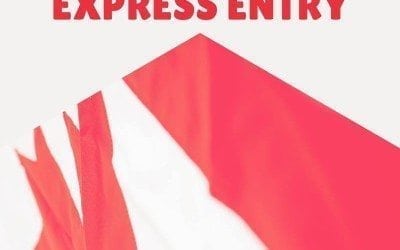 Express Entry em números – Como está o Sistema de Imigração após 6 meses em vigor?