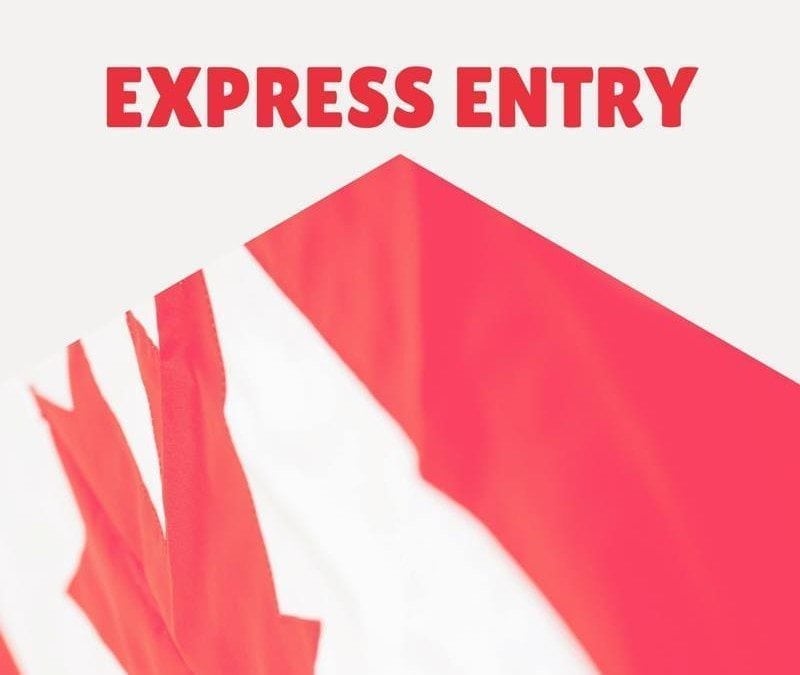 Express Entry em números – Como está o Sistema de Imigração após 6 meses em vigor?