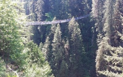 “Capilano Suspension Bridge Park”… de tirar o fôlego!